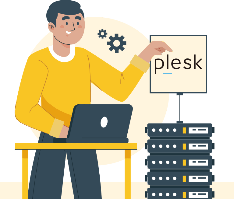 Professional Plesk Server Management Solutions