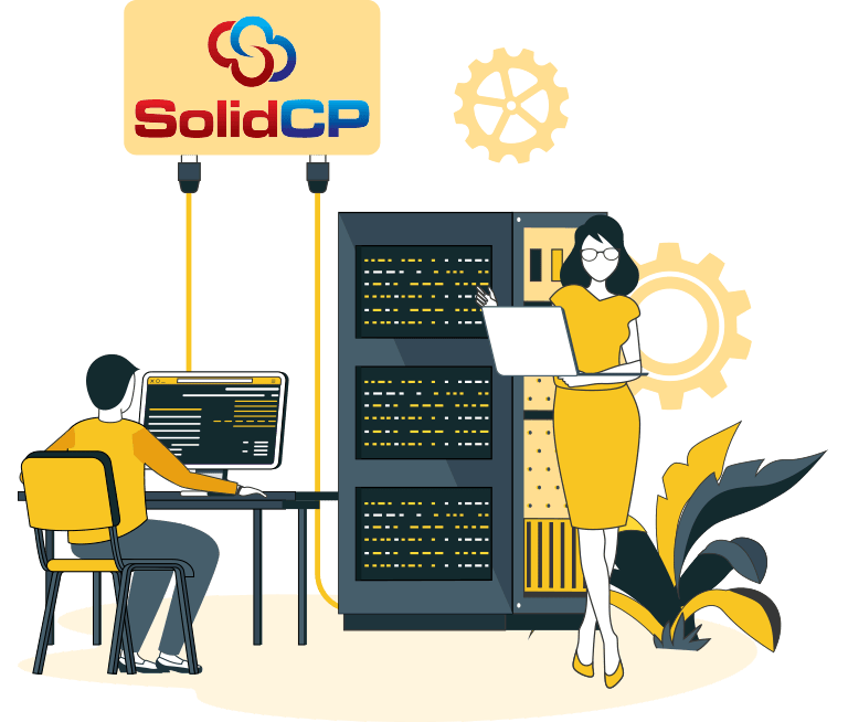 Best SolidCP/WebsitePanel Server Management Service